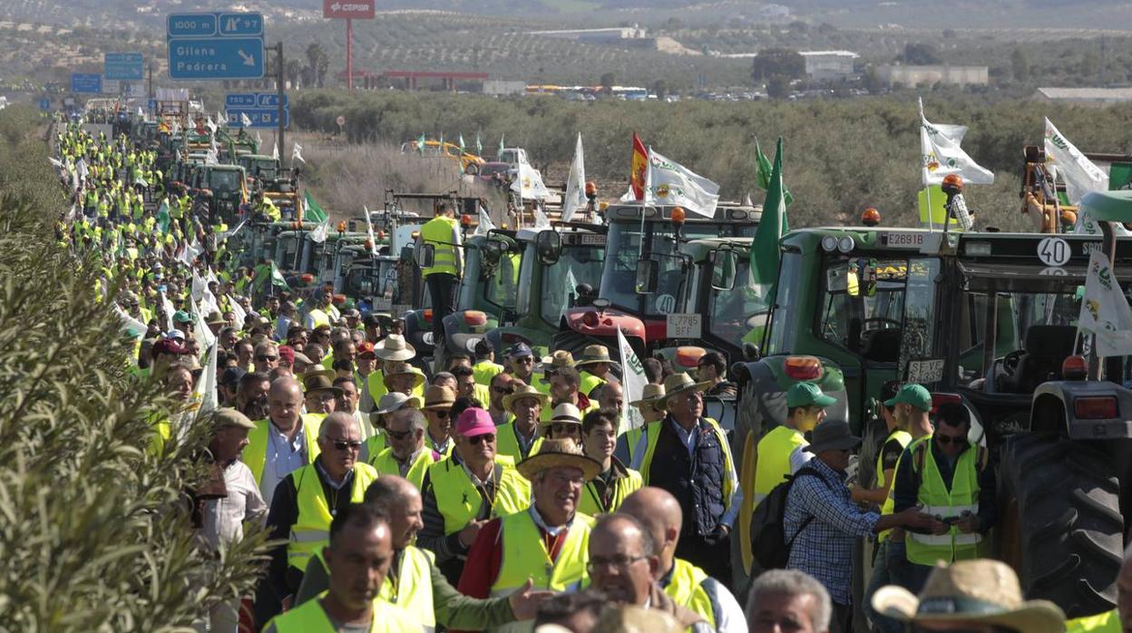 Las imágenes del corte de la autovía A-92 por las tractoradas en Sevilla