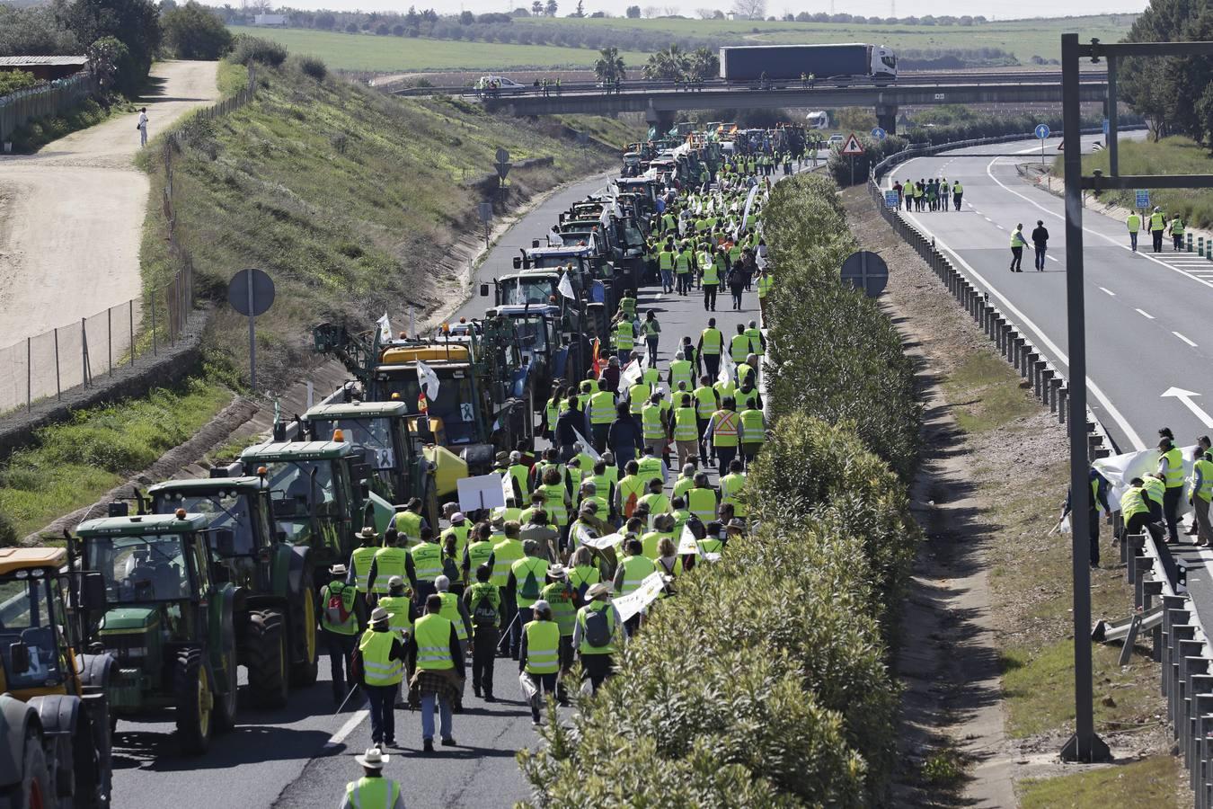 En imágenes, la tractorada de agricultores en la autovía A-4