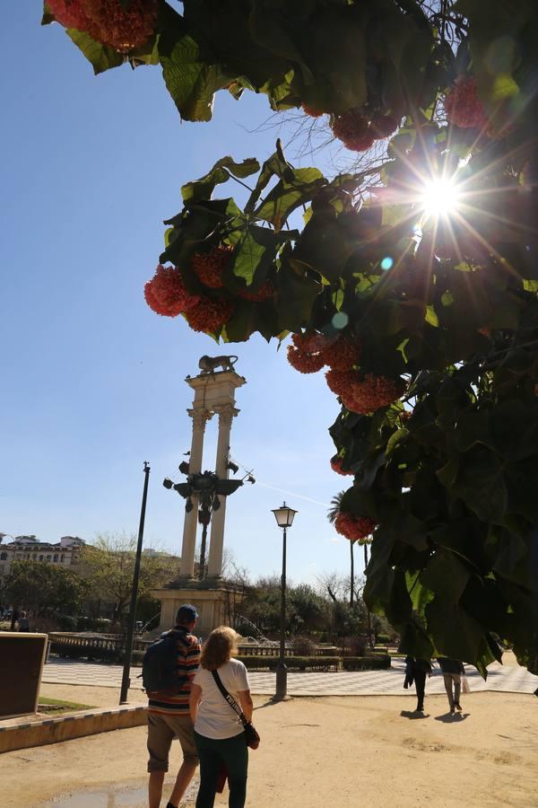 Sevilla vive ya en primavera