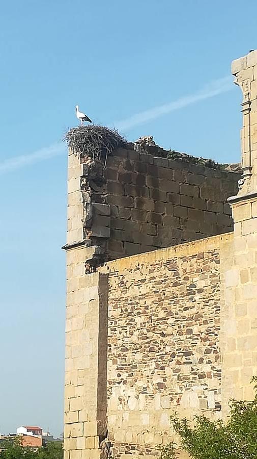 Las visitas al Castillo de Belalcázar con motivo del 28-F, en imágenes