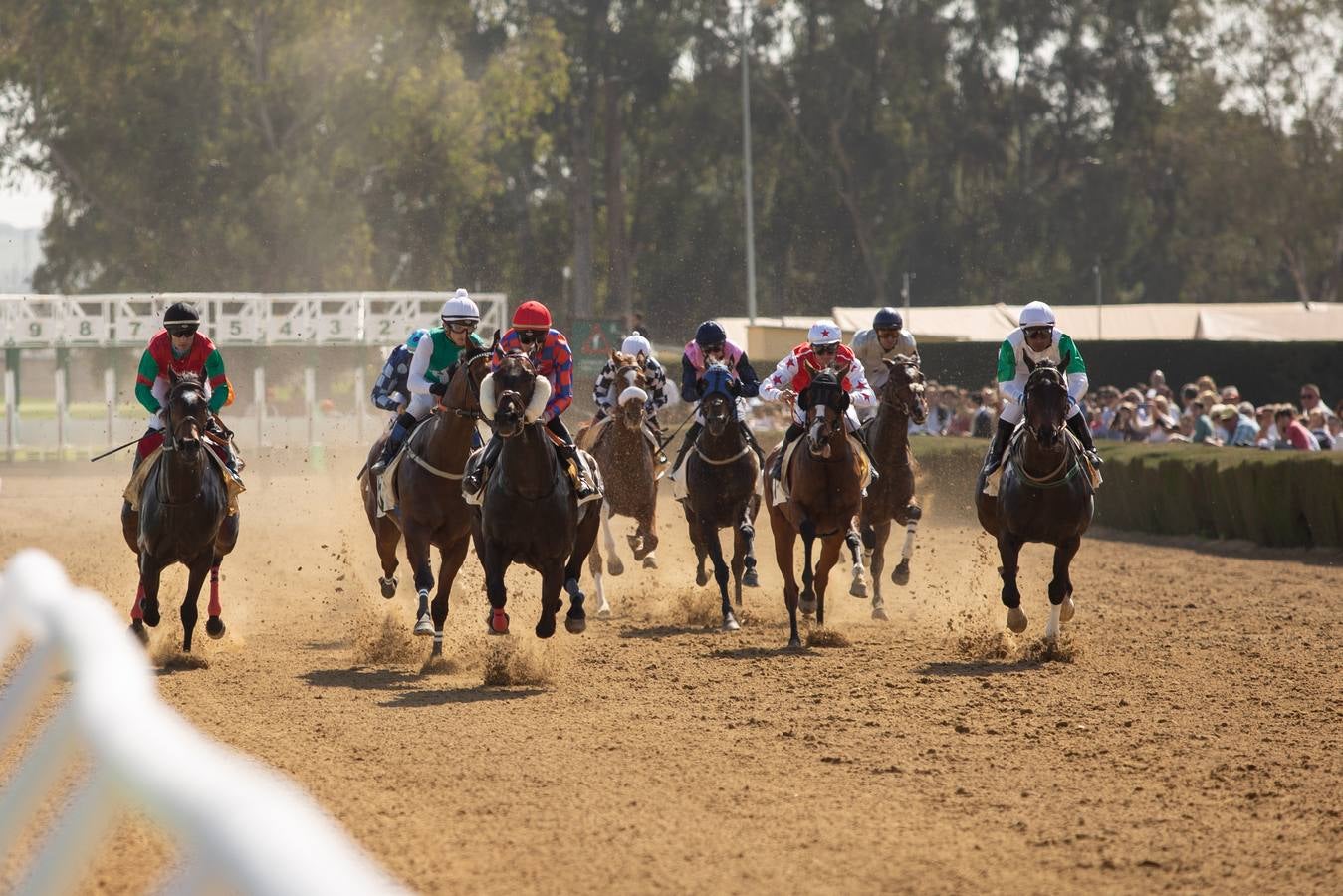 En imágenes, el inicio de las carreras de caballos de Pineda