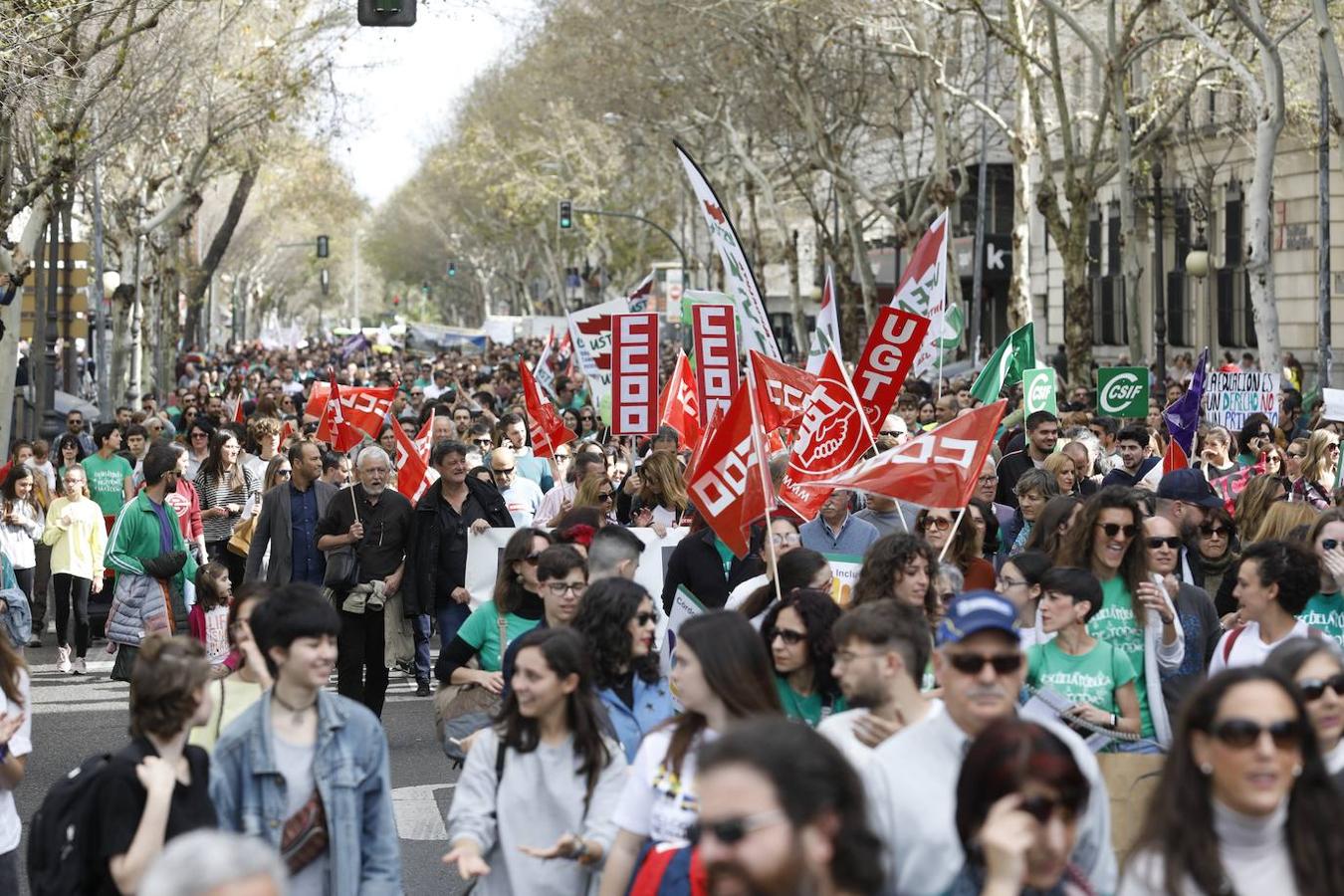 La manifestación en Córdoba contra el decreto de escolarización, en imágenes