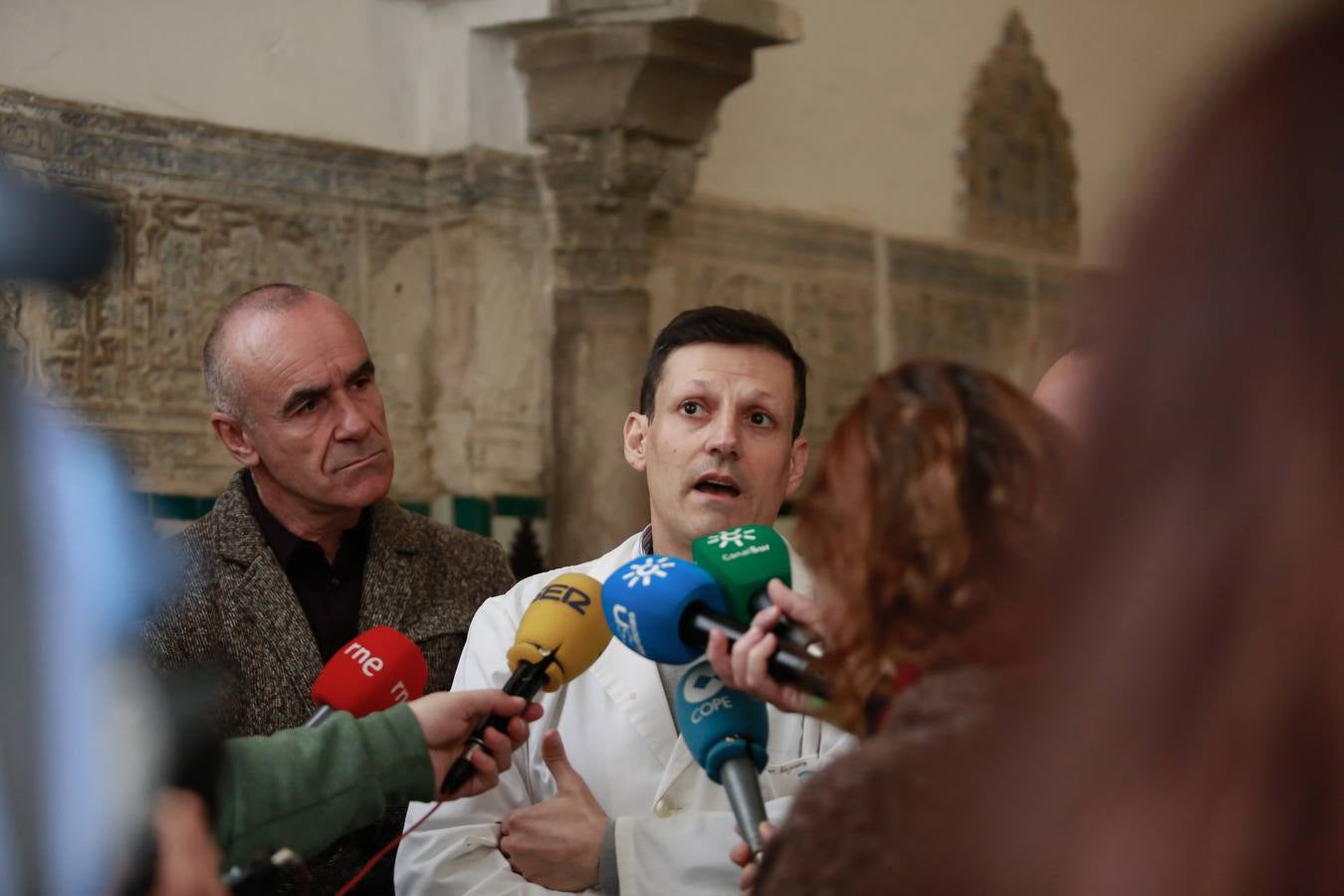 Visita a los trabajos de restauración de las yeserías del Real Alcázar