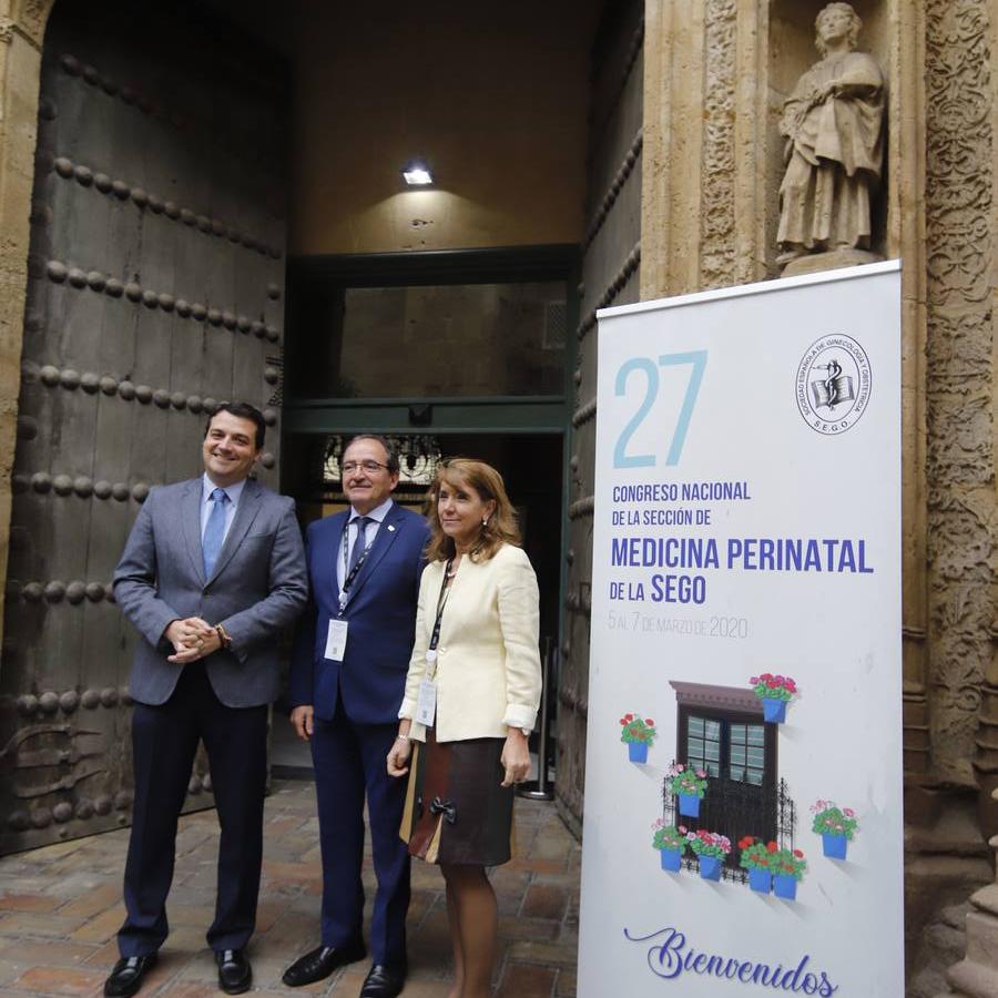 El XXVII Congreso Perinatal en el Palacio de Exposiciones en Torrijos, en imágenes