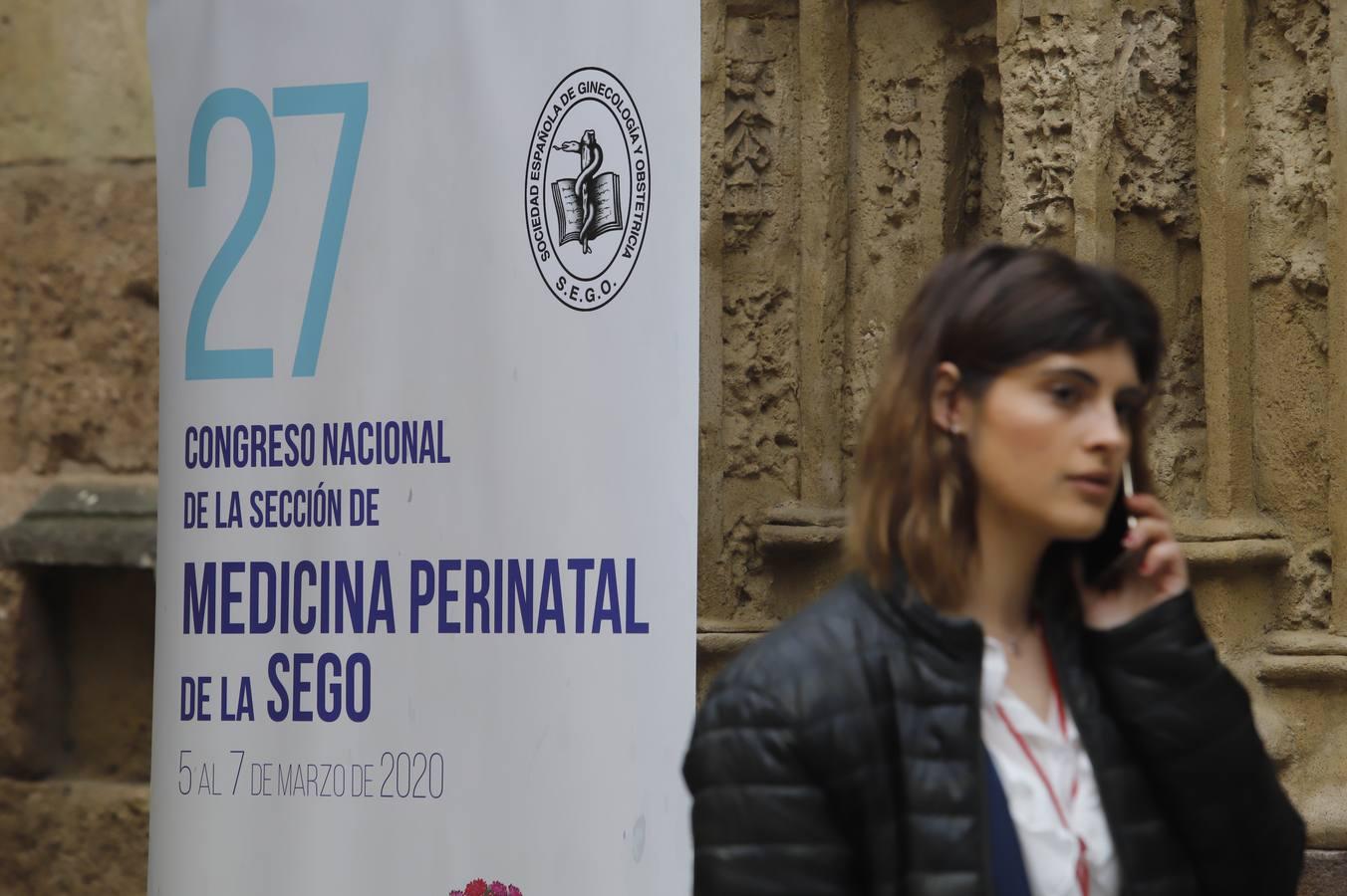 El XXVII Congreso Perinatal en el Palacio de Exposiciones en Torrijos, en imágenes