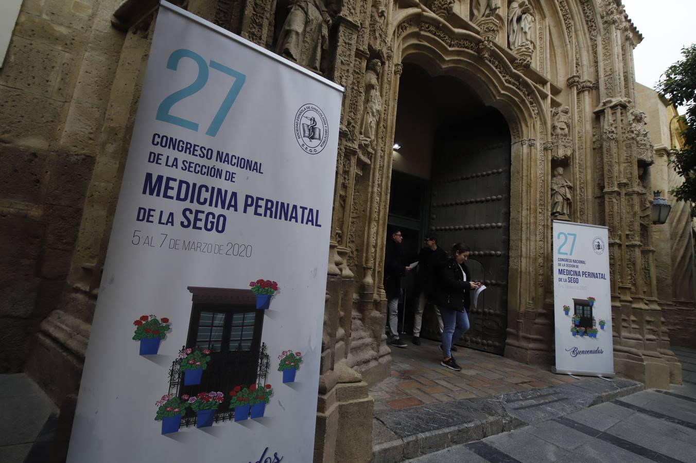 El XXVII Congreso Perinatal en el Palacio de Exposiciones en Torrijos, en imágenes