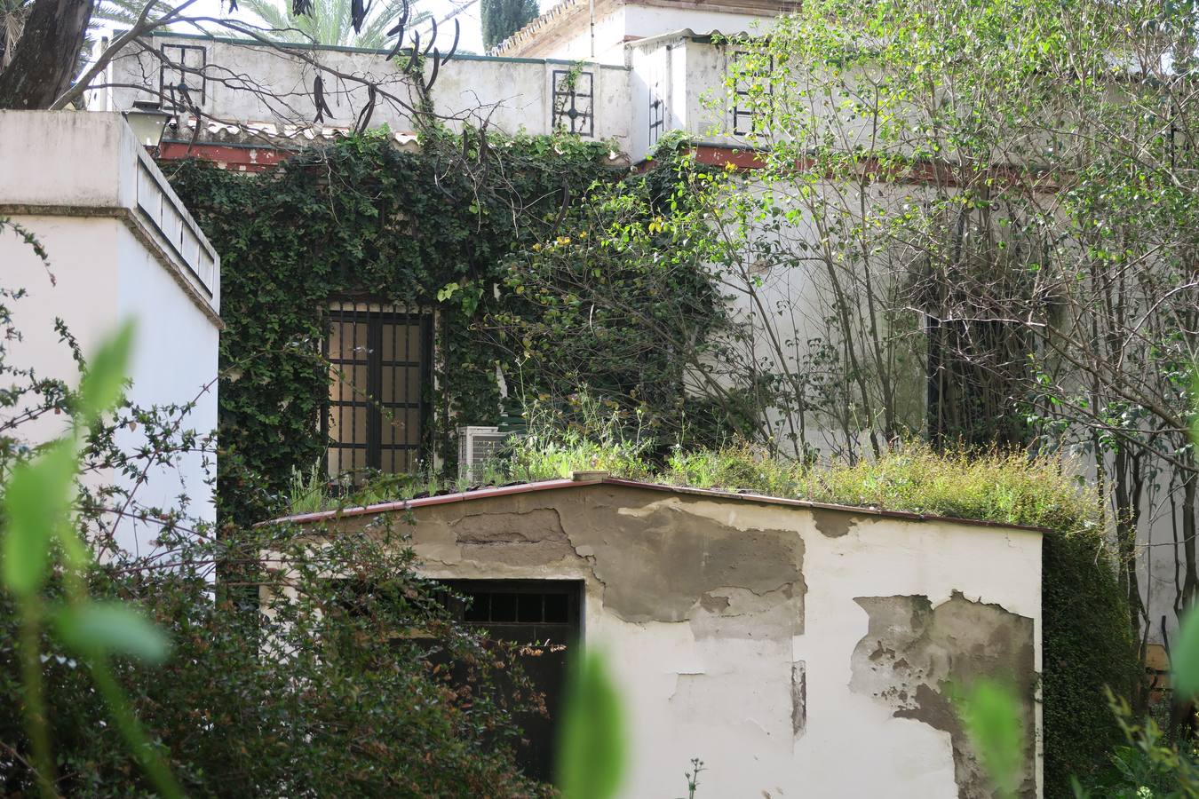 El abandono de parques y zonas verdes de Sevilla