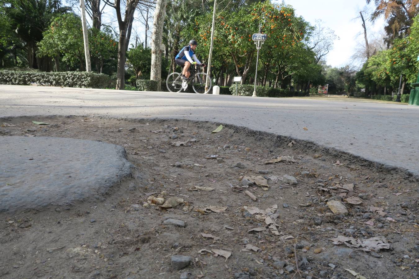 El abandono de parques y zonas verdes de Sevilla