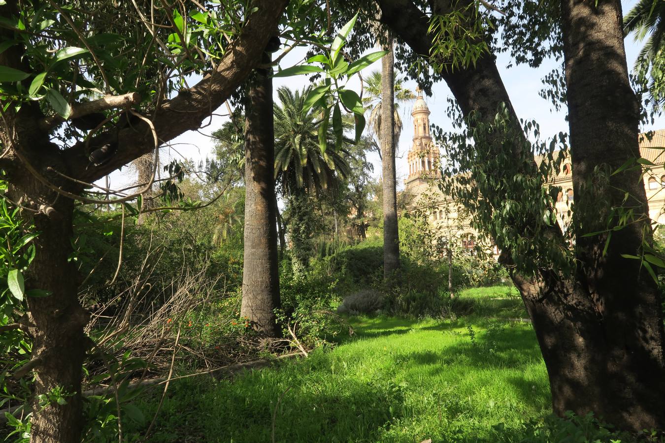 El abandono de parques y zonas verdes de Sevilla