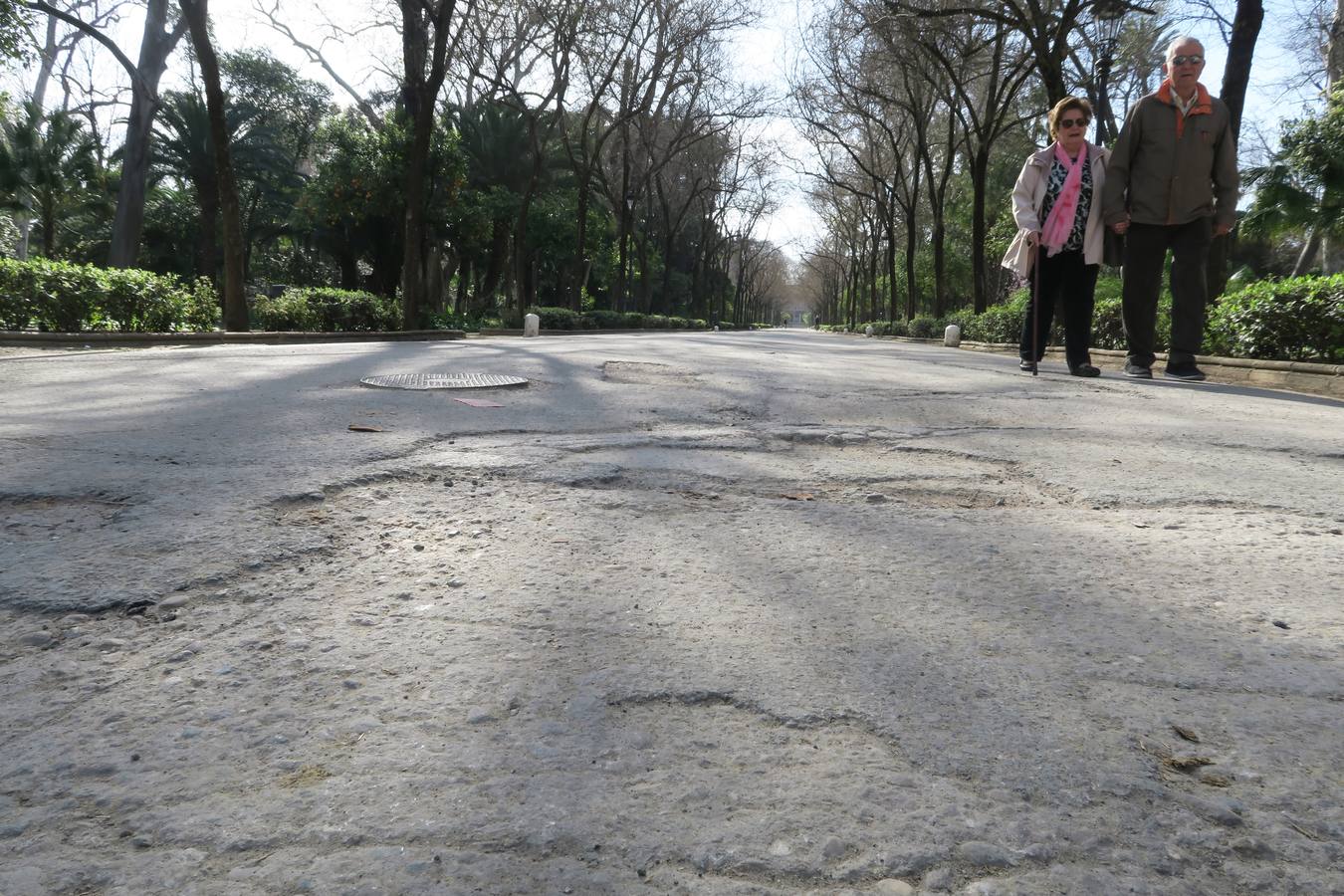 El abandono de parques y zonas verdes de Sevilla