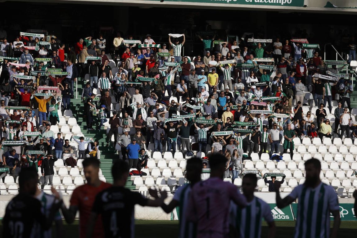 El ambiente en la grada del Córdoba CF-Cartagena, en imágenes