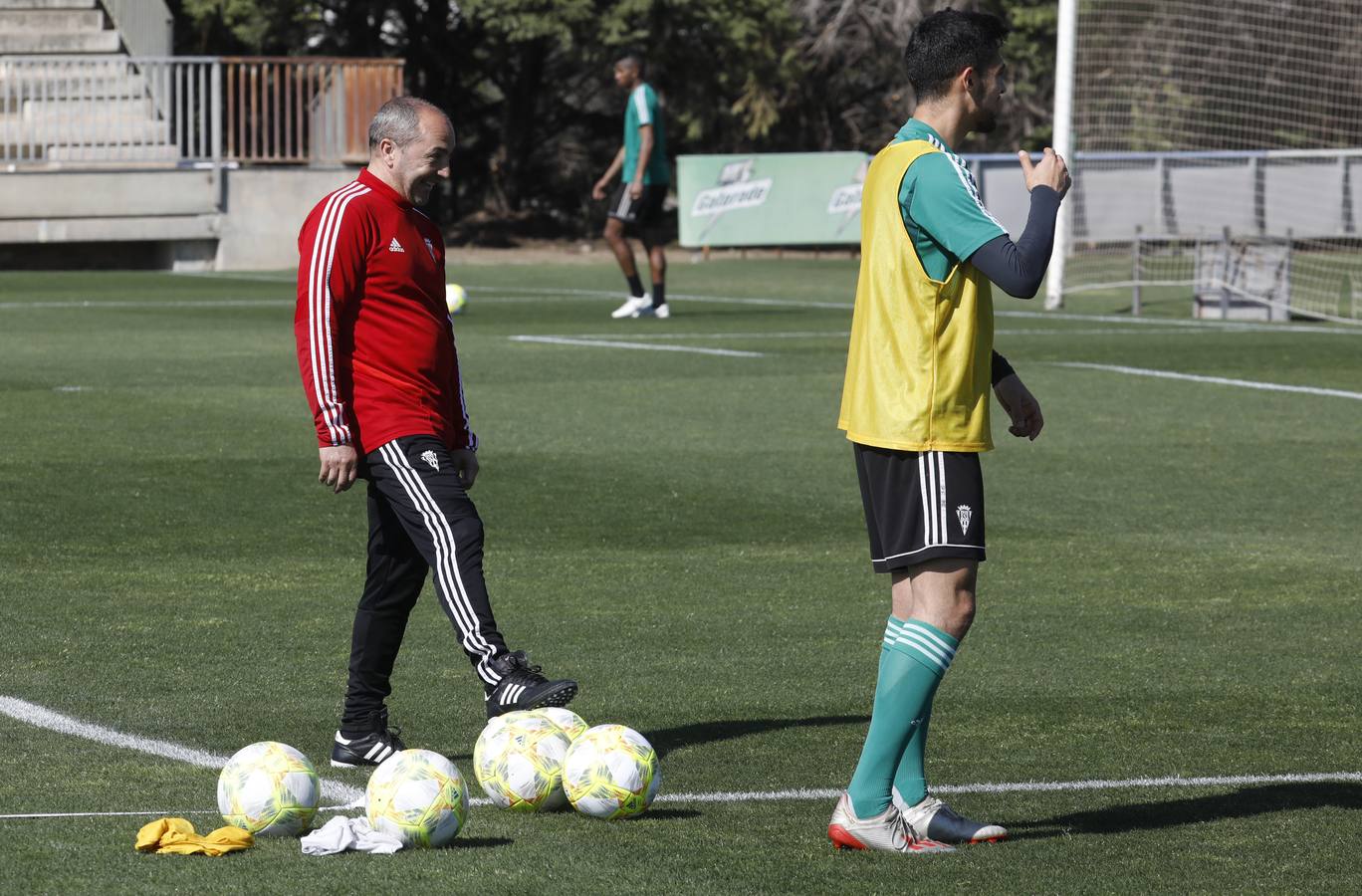 El primer entrenamiento de Juan Sabas en el Córdoba CF, en imágenes