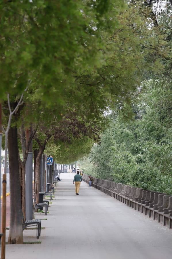 Comercios cerrados y calles vacías por el coronavirus en Córdoba