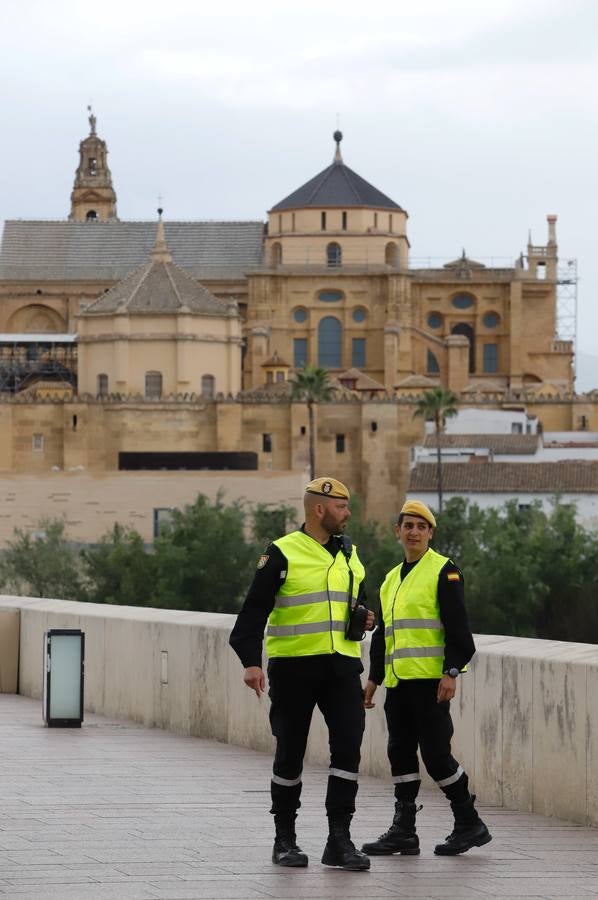 El despliegue de la UME en las arterias y monumentos de Córdoba, en imágenes