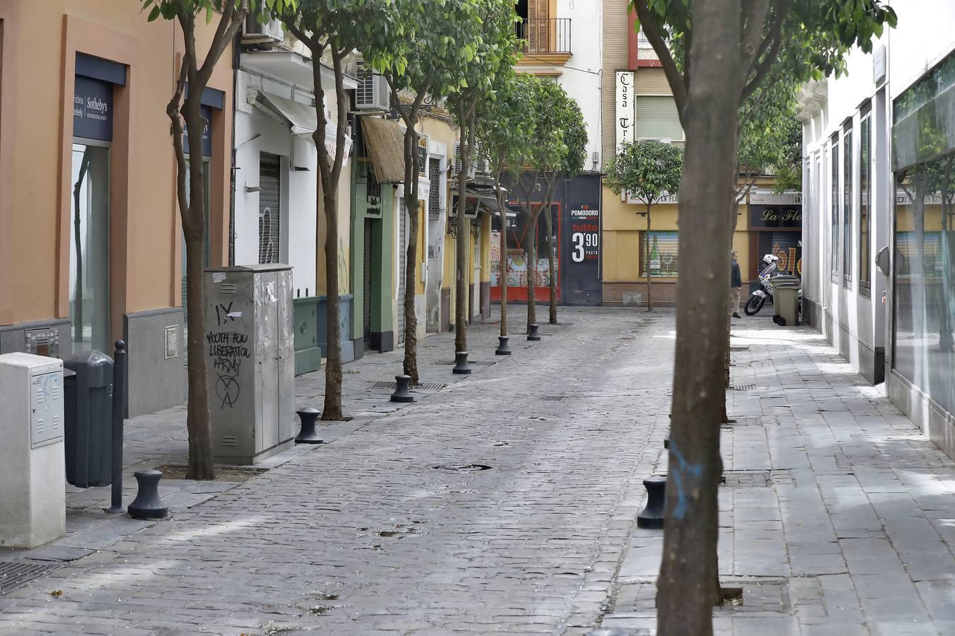 El coronavirus arrasa con los veladores de Sevilla