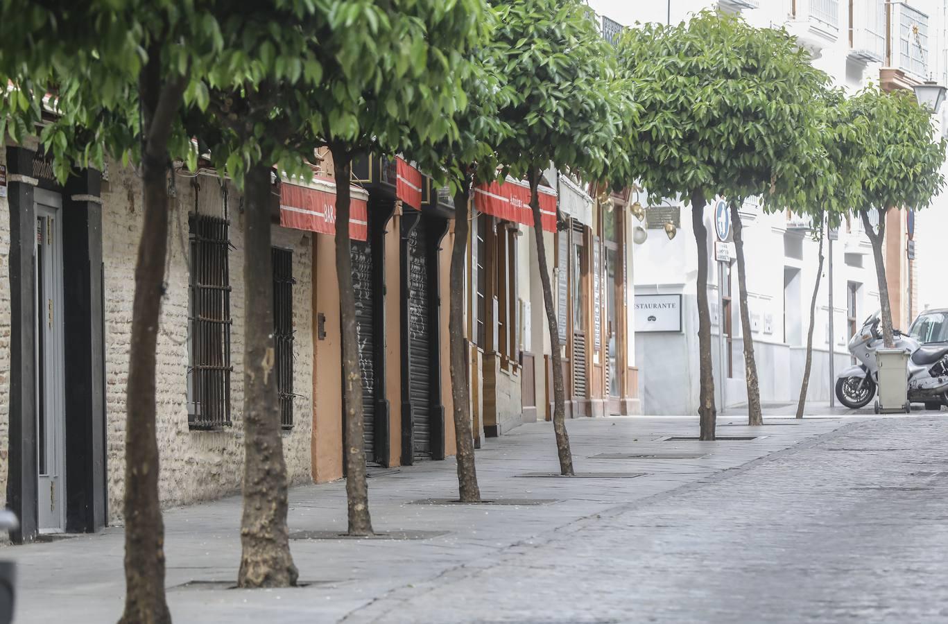 El coronavirus arrasa con los veladores de Sevilla