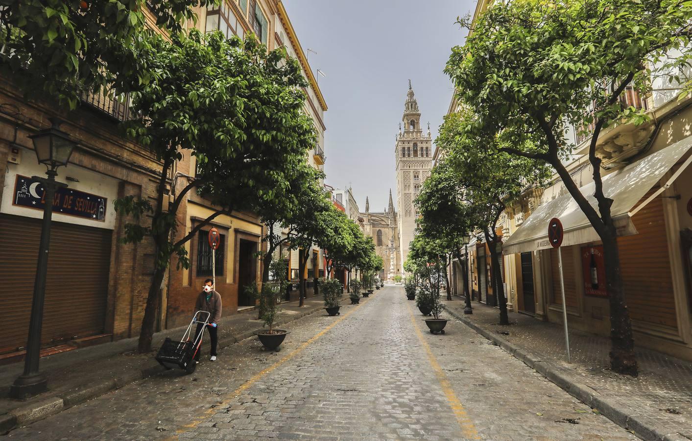 El coronavirus arrasa con los veladores de Sevilla