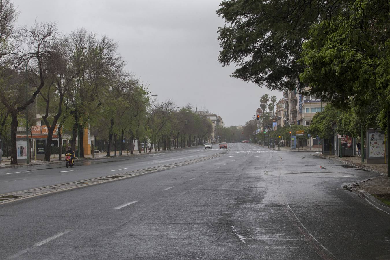 En imágenes, el coronavirus y la lluvia traen una estampa fantasmal de Sevilla