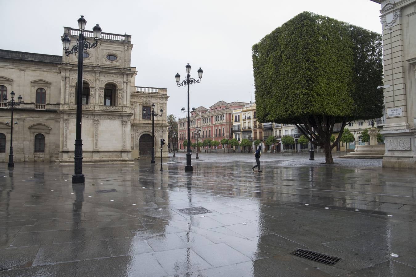 En imágenes, el coronavirus y la lluvia traen una estampa fantasmal de Sevilla