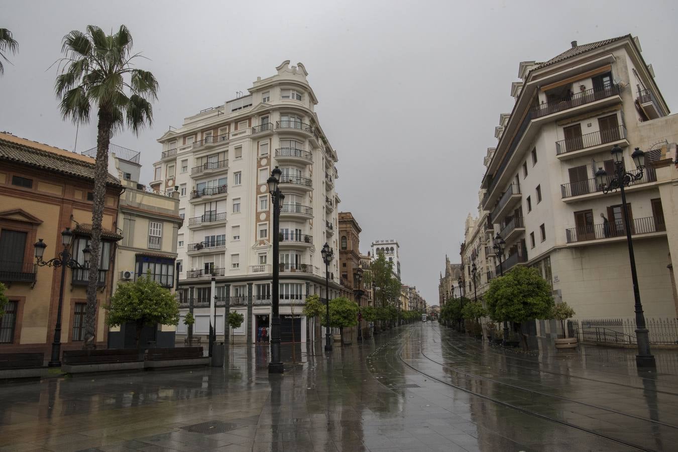 En imágenes, el coronavirus y la lluvia traen una estampa fantasmal de Sevilla