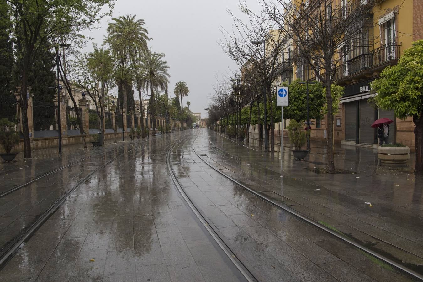 En imágenes, el coronavirus y la lluvia traen una estampa fantasmal de Sevilla