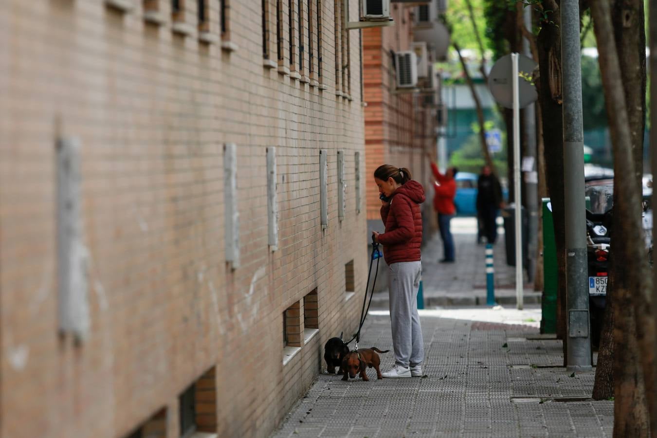 Pino Montano: el día a día en un barrio sevillano durante el estado de alarma