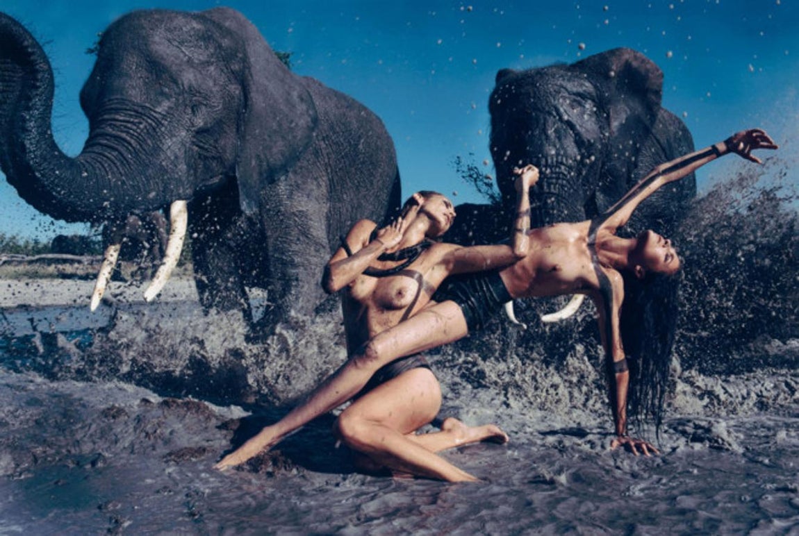 2009 – Las imágenes más icónicas del Calendario Pirelli. África, sus animales y vegetación fueron los elementos elegidos para ilustrar una de sus versiones más coloridas bajo el objetivo de Peter Beard.