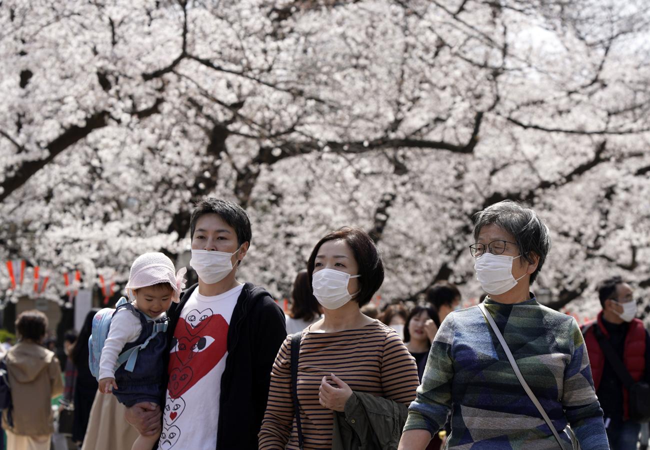 Umna fiesta que ha llegado muy pronto. Esta floración de los cerezos o "sakura" es un fenómeno estacional que se suele dar en Japón durante solo dos semanas entre finales de marzo y mediados de abril. Este año comenzaron a brotar el 14 de marzo, la fecha más temprana desde que se empezaron a tomar registros en 1953.