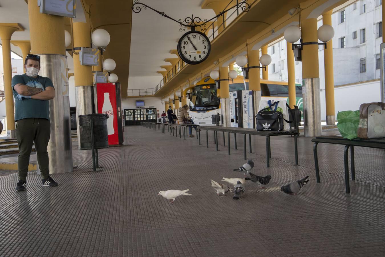 Coronavirus en Sevilla: en imágenes, las estaciones de autobuses durante el estado de alarma