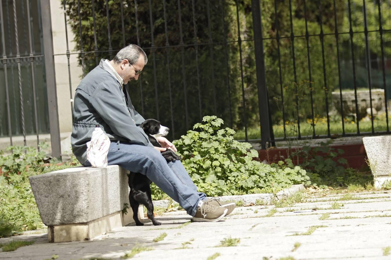 Coronavirus en Sevilla: así se vive el día a día en el Polígono San Pablo