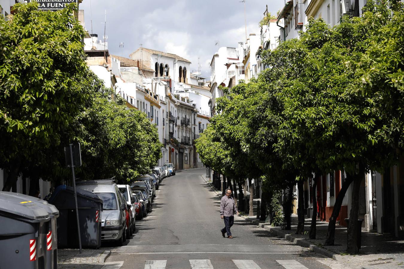 Callejero sentimental: la calle San Fernando de Córdoba, en imágenes