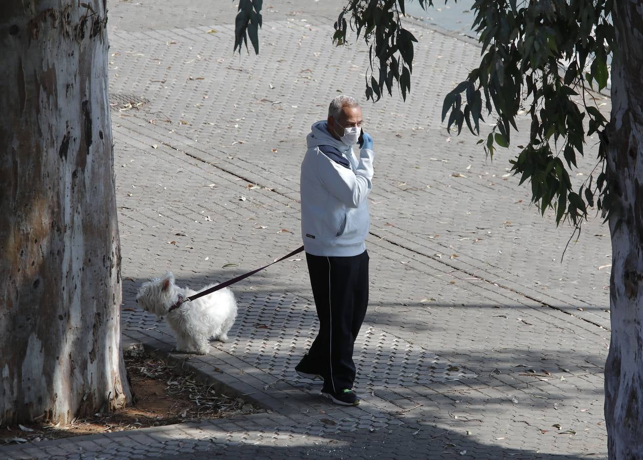 Tercer domingo de cuarentena por coronavirus en Sevilla