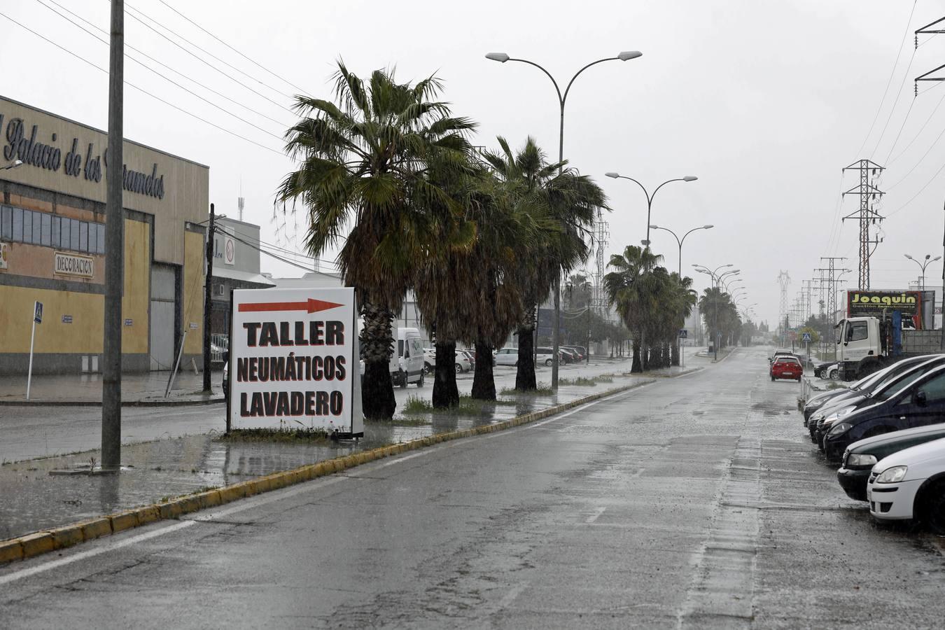 El desierto de la industria de Cordoba, en imágenes