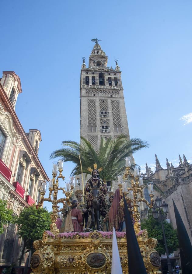 El regreso de la Borriquita al Salvador, tras hacer estación de penitencia a la Catedral. 