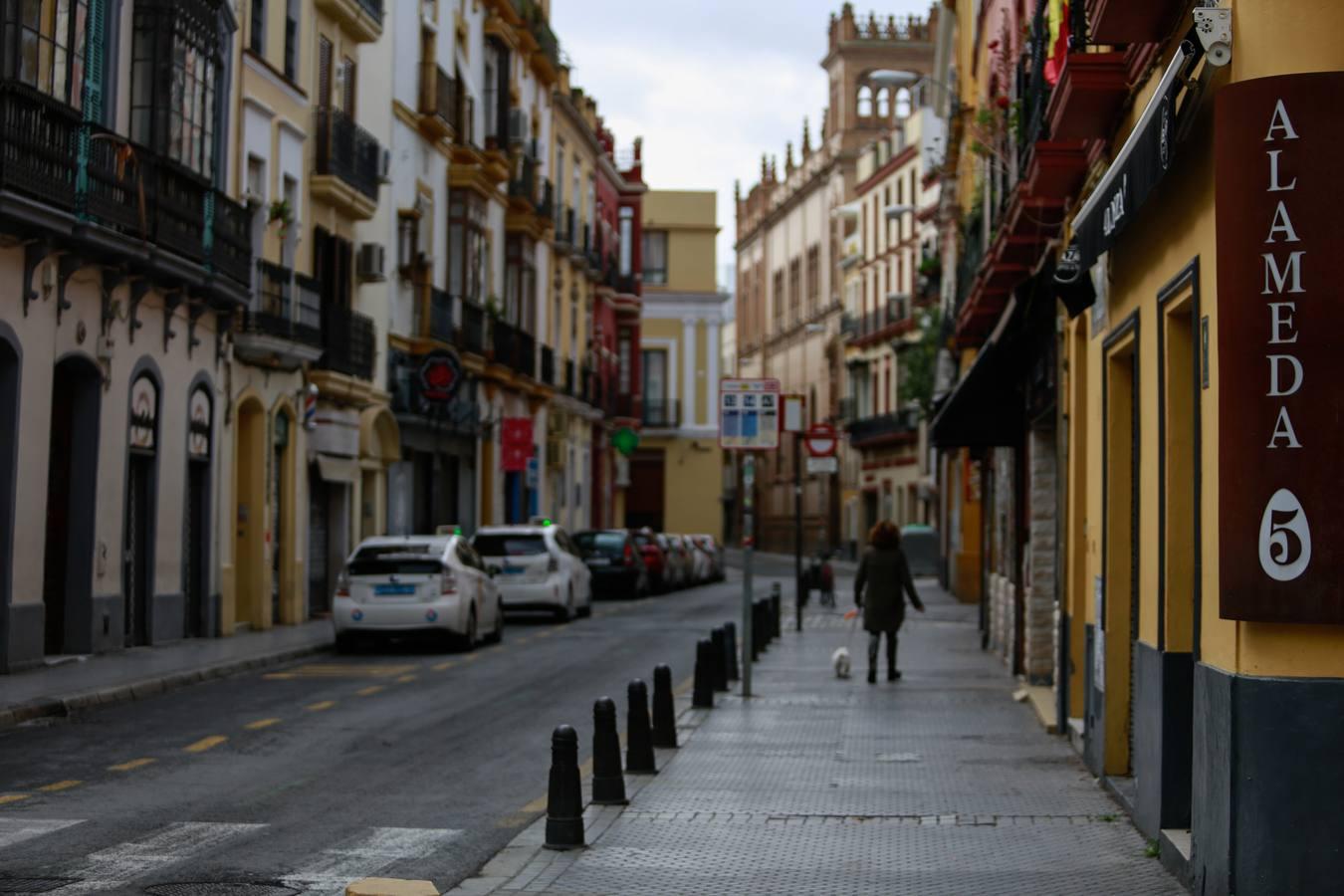 Así se vive en la Alameda durante el estado de alarma por coronavirus