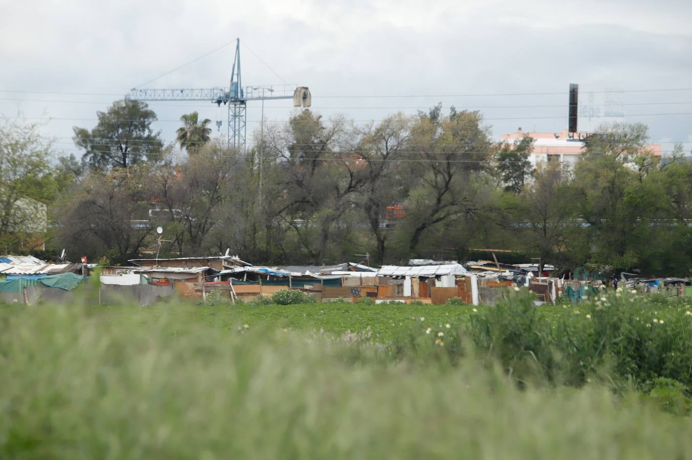 Así se vive el coronavirus en los asentamientos rumanos de Córdoba