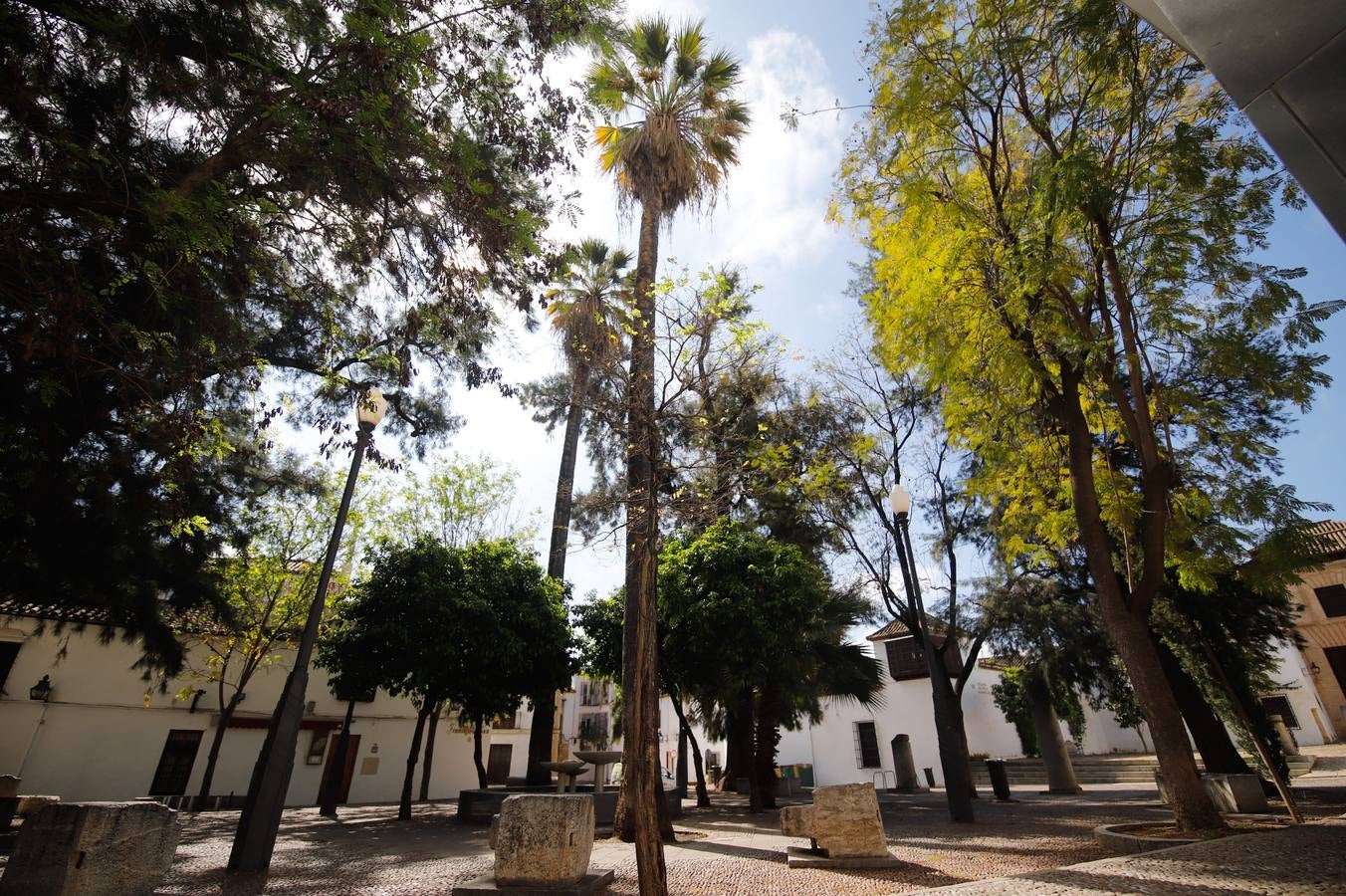 Coronavirus en Córdoba: Paseo de ausencias por las plazas