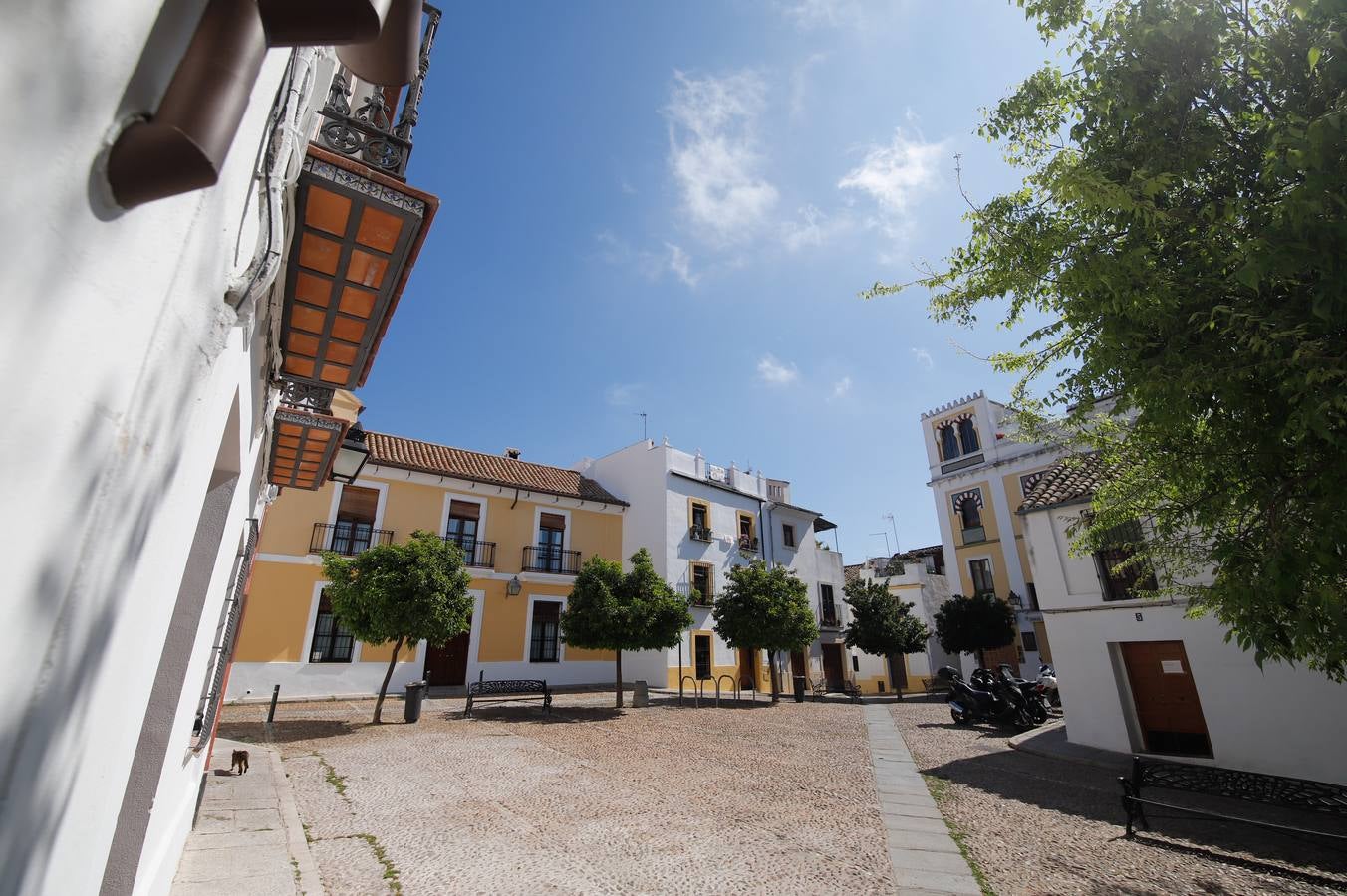 Coronavirus en Córdoba: Paseo de ausencias por las plazas