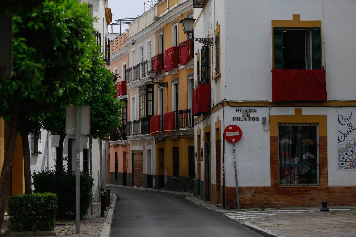 Imágenes de la Semana Santa de Sevilla de 2020: San Esteban