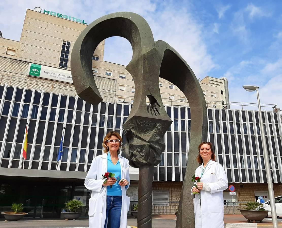 Ofrenda de flores del Baratillo a los hospitales