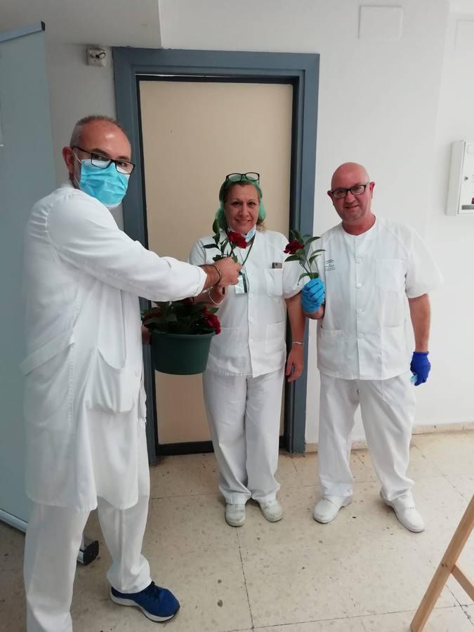 Ofrenda de flores del Baratillo a los hospitales