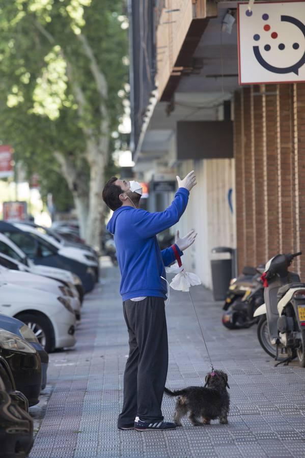 Coronavirus en Sevilla: Así se vive durante el confinamiento en Reina Mercedes