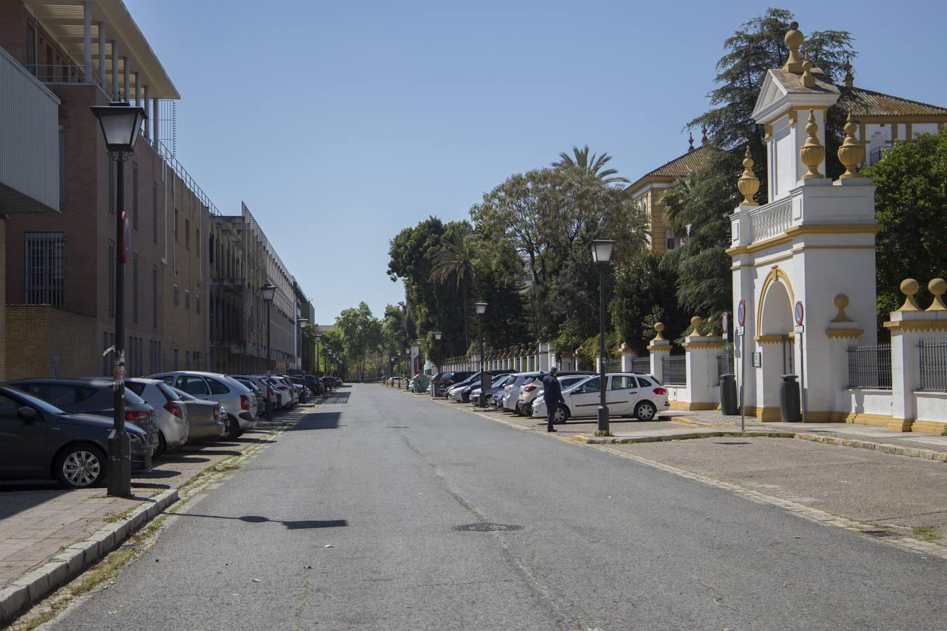 Coronavirus en Sevilla: Así se vive durante el confinamiento en Reina Mercedes