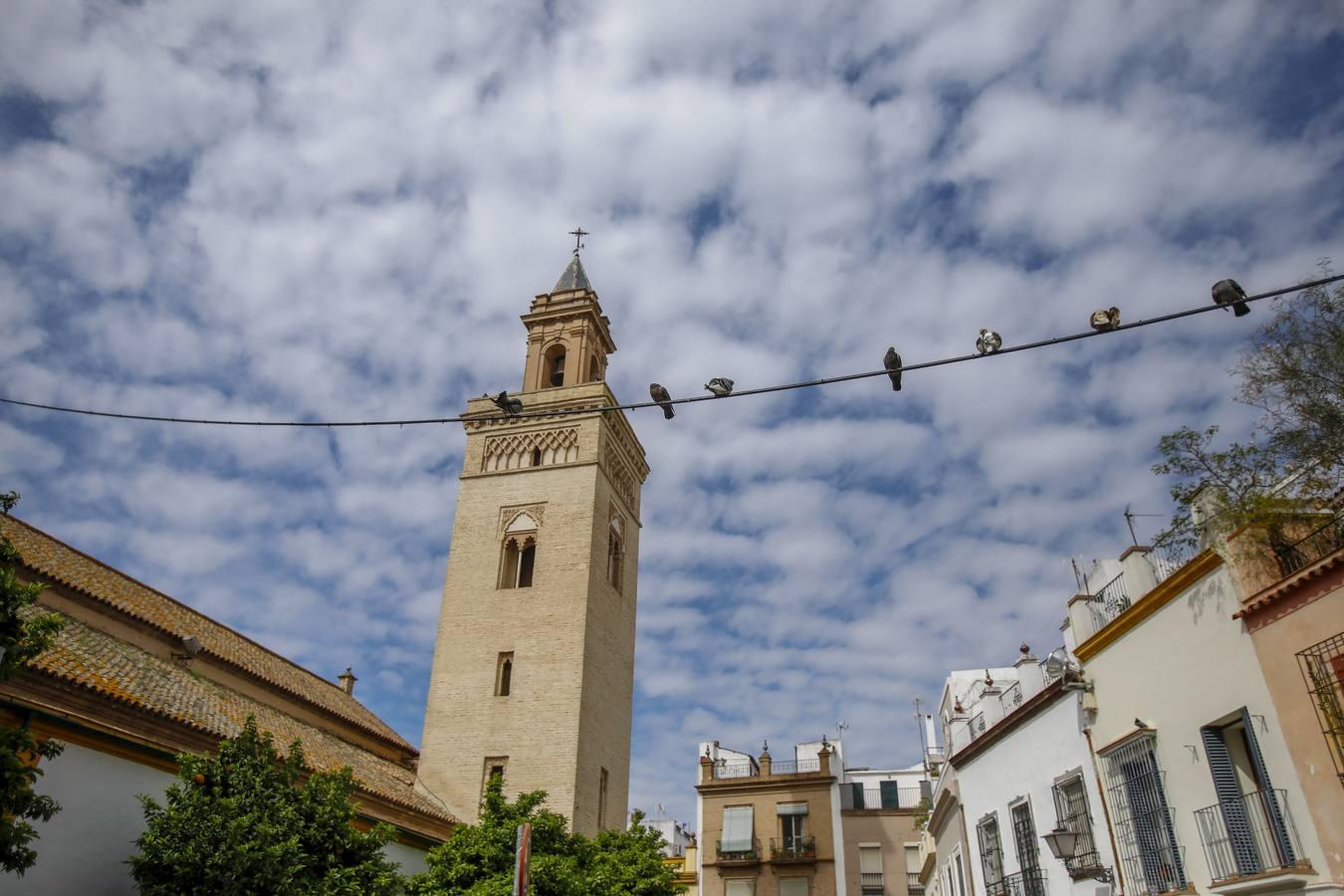 Imágenes de la Semana Santa de Sevilla de 2020: Los Servitas