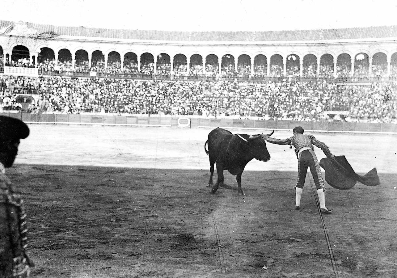 Joselito «El Gallo» le toca la testa a un toro