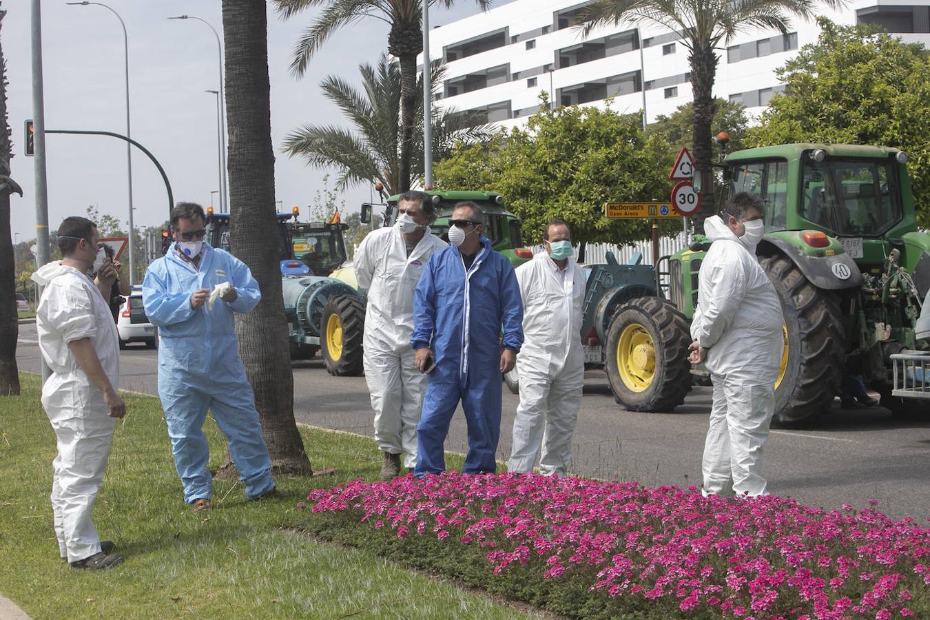 El homenaje de los agricultores a los sanitarios de Córdoba, en imágenes