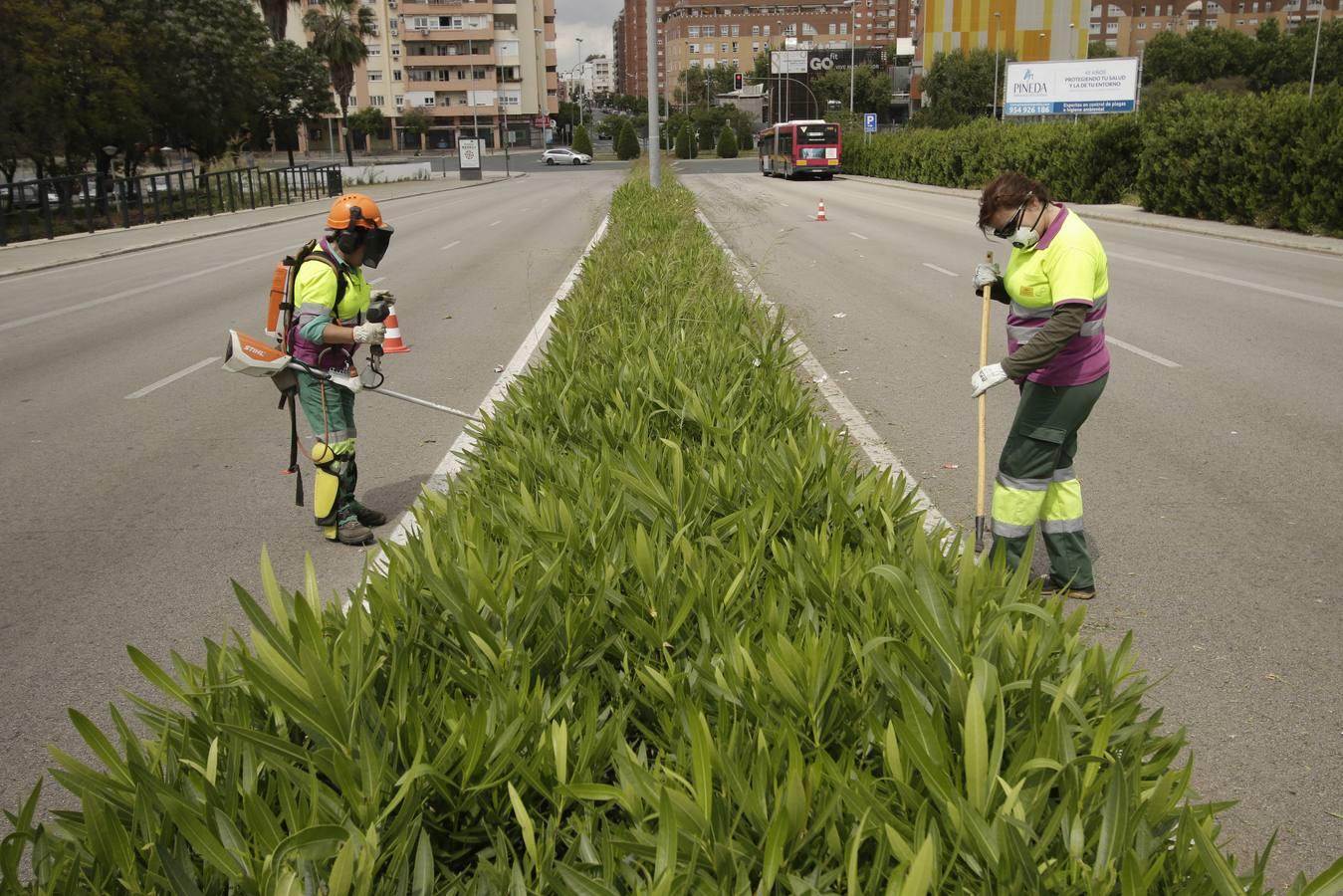 Sevilla comienza a despertar