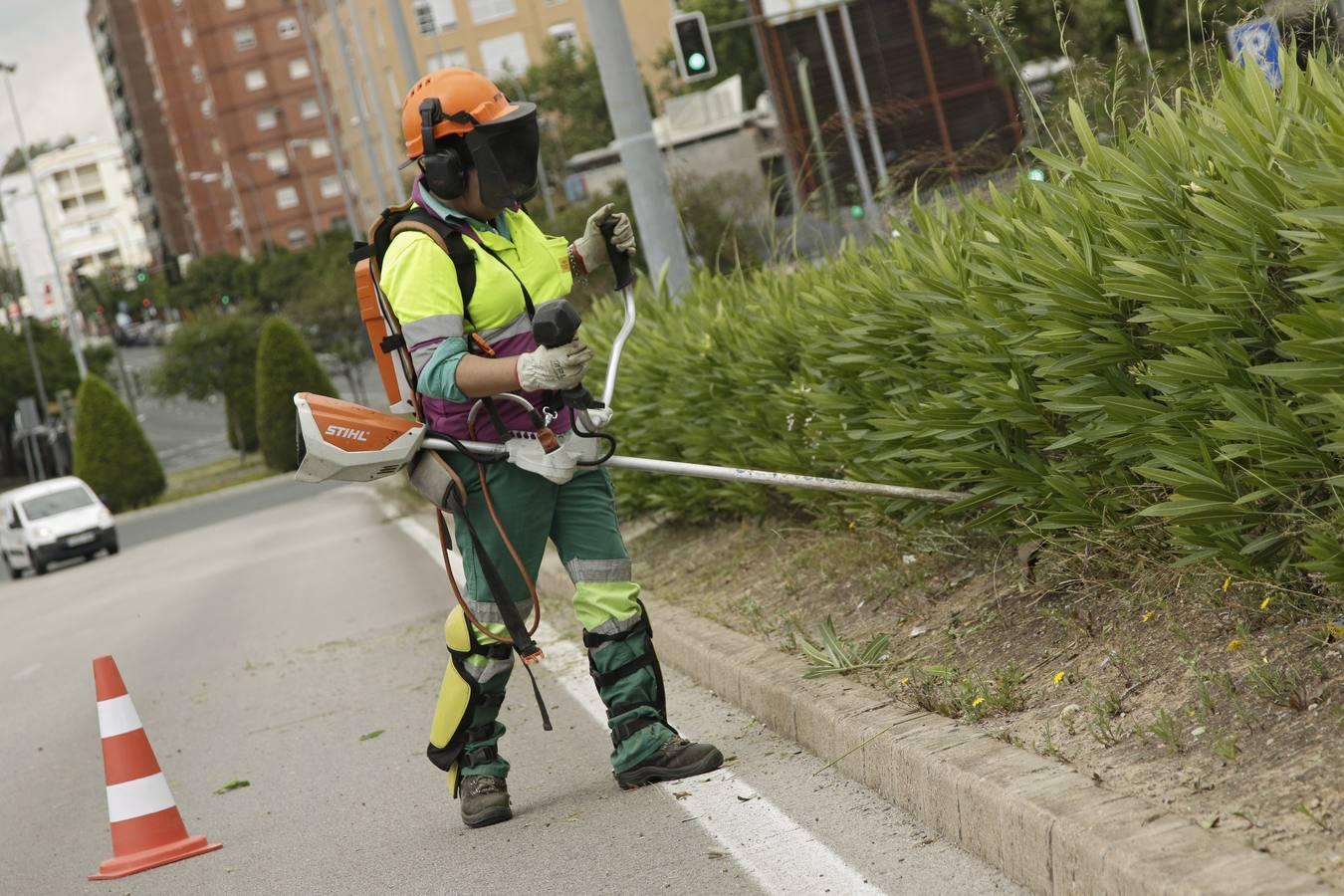 Sevilla comienza a despertar