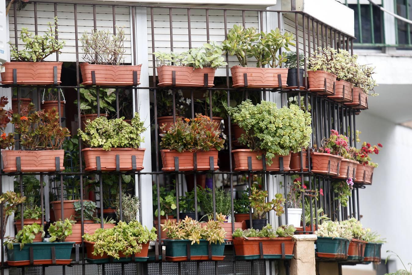 El barrio de La Oliva durante el estado de alarma