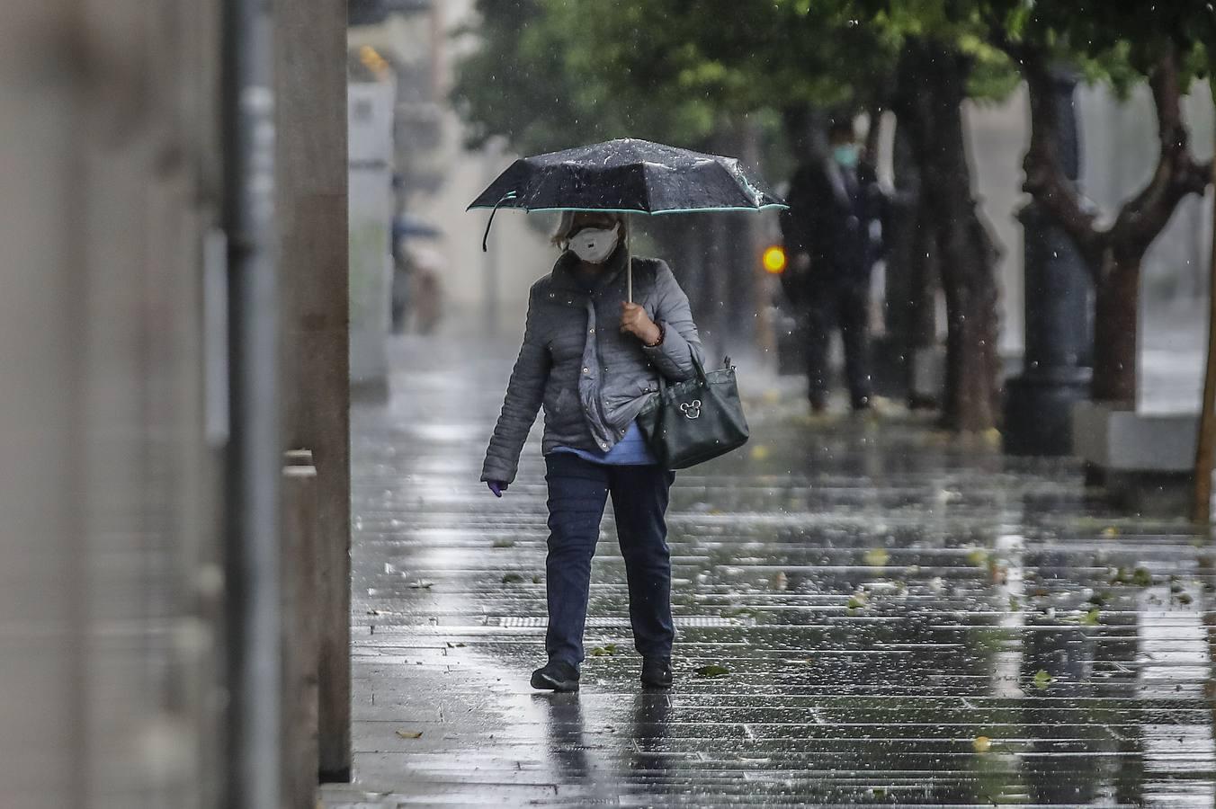 La Sevilla vaciada